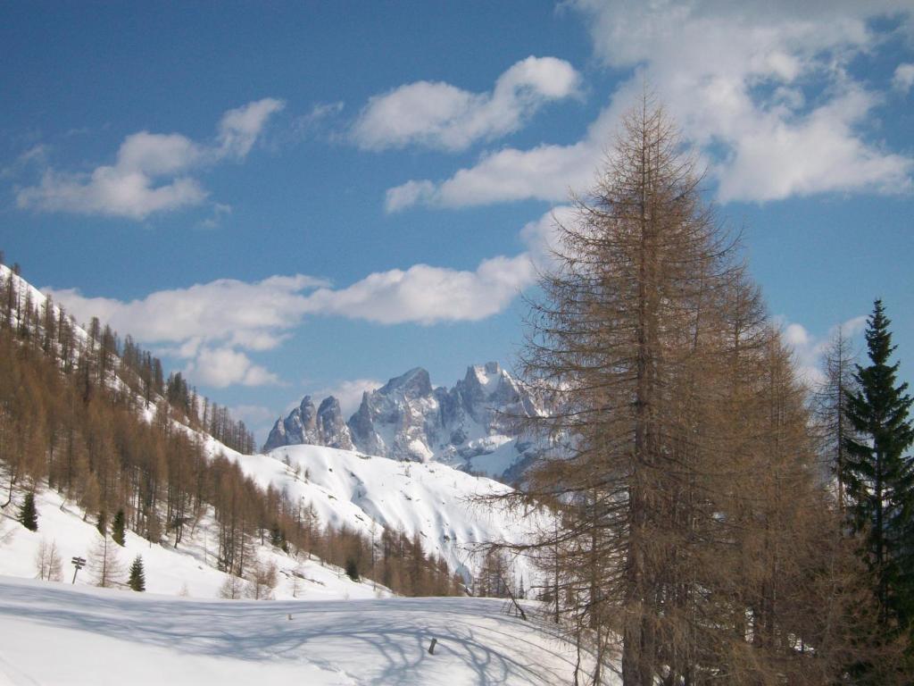 Hotel Pensione Dolomiti Falcade Exterior foto